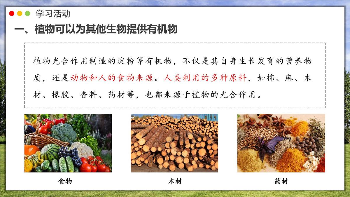 3.2.4 植物在自然界中的作用课件 2025学年人教版初中生物七年级下册第6页