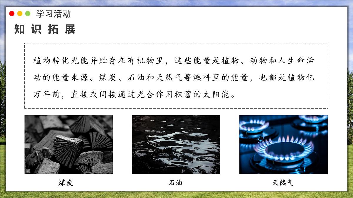 3.2.4 植物在自然界中的作用课件 2025学年人教版初中生物七年级下册第7页
