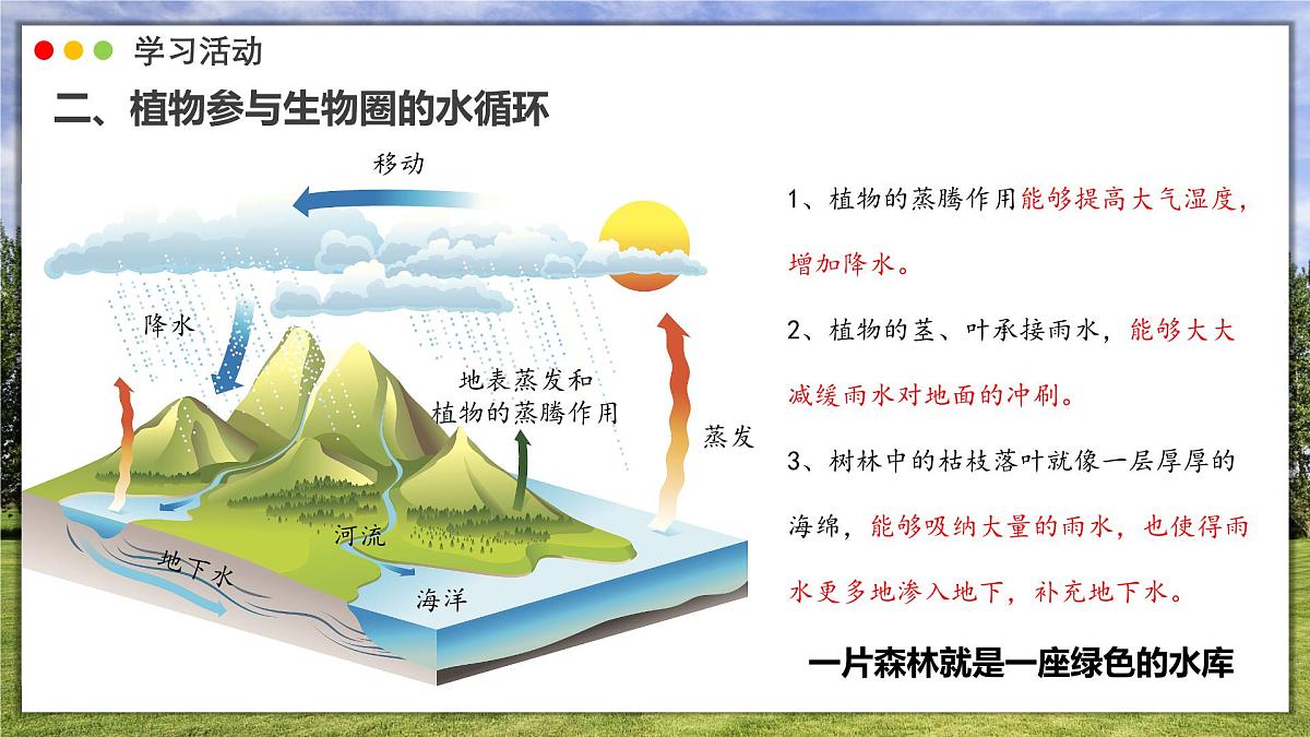 3.2.4 植物在自然界中的作用课件 2025学年人教版初中生物七年级下册第8页