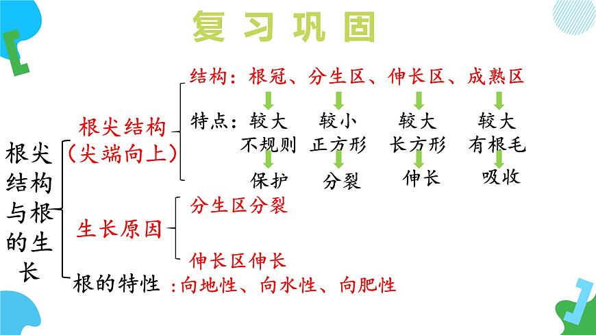 4.9.3 植物的繁殖（教学课件）(第1课时）2025学年七年级生物下册（苏教版2024）第6页