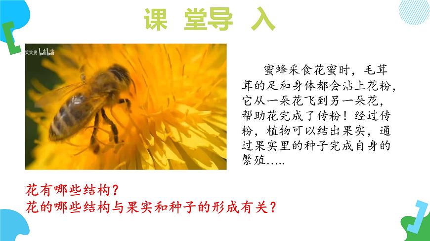 4.9.3 植物的繁殖（教学课件）(第1课时）2025学年七年级生物下册（苏教版2024）第7页