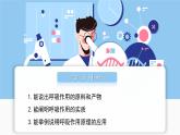 3.2.3 呼吸作用 導(dǎo)學(xué)課件 2025學(xué)年人教版初中生物七年級下冊