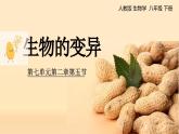 7.2.5 生物的变异 2025学年八年级生物下册（人教版） 课件