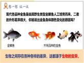 7.2.5 生物的变异 2025学年八年级生物下册（人教版） 课件