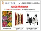 7.2.5 生物的变异 2025学年八年级生物下册（人教版） 课件