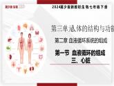 3.2.1.2心臟 七年級生物下冊教學(xué)課件（冀少版2024）