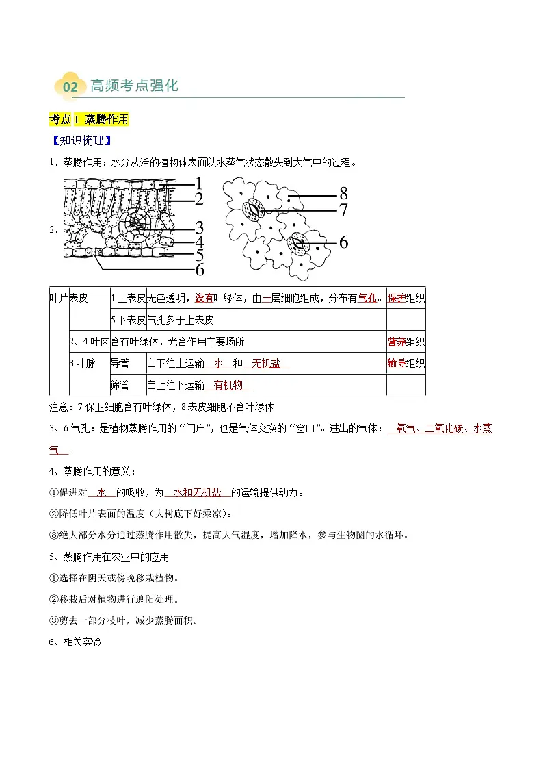 专题05 植物的三大生理作用（4大考点）-2025年中考生物二轮热点题型归纳与变式演练（全国通用）（解析版）第2页