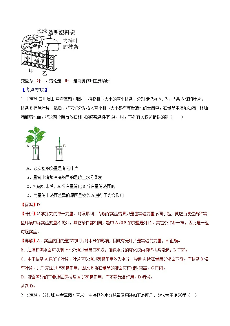 专题05 植物的三大生理作用（4大考点）-2025年中考生物二轮热点题型归纳与变式演练（全国通用）（解析版）第3页