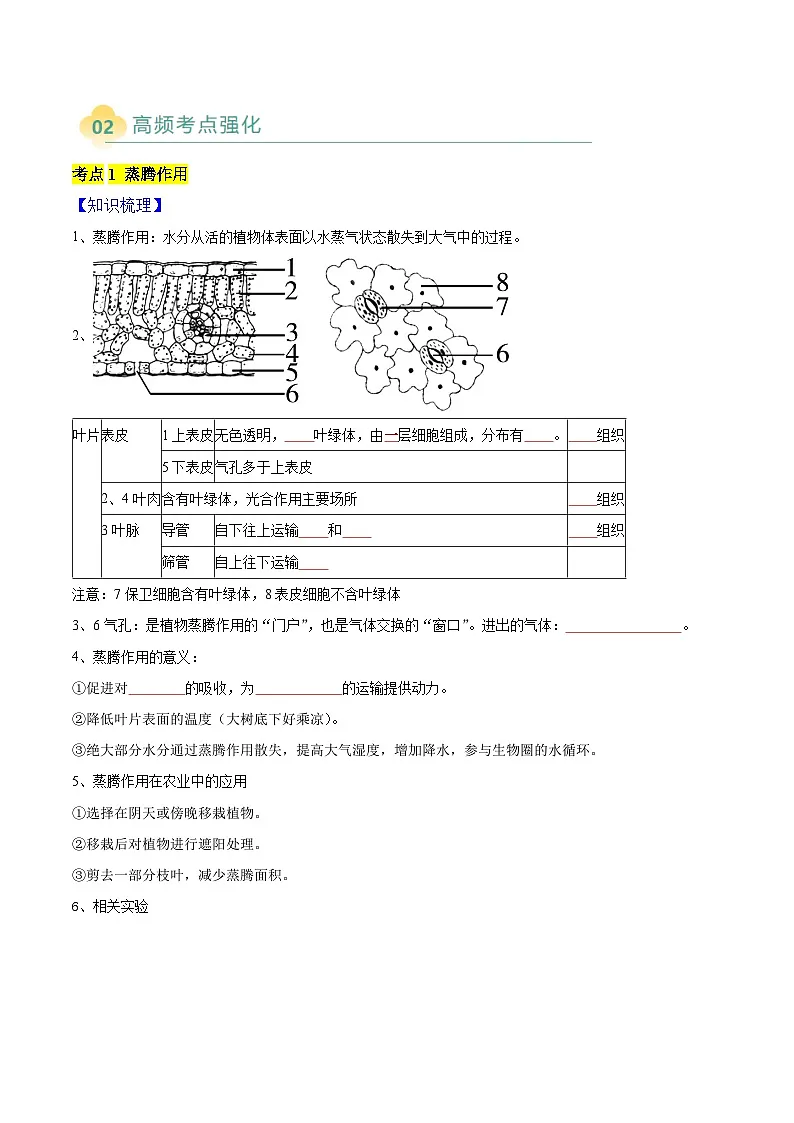 专题05 植物的三大生理作用（4大考点）-2025年中考生物二轮热点题型归纳与变式演练（全国通用）（原卷版）第2页