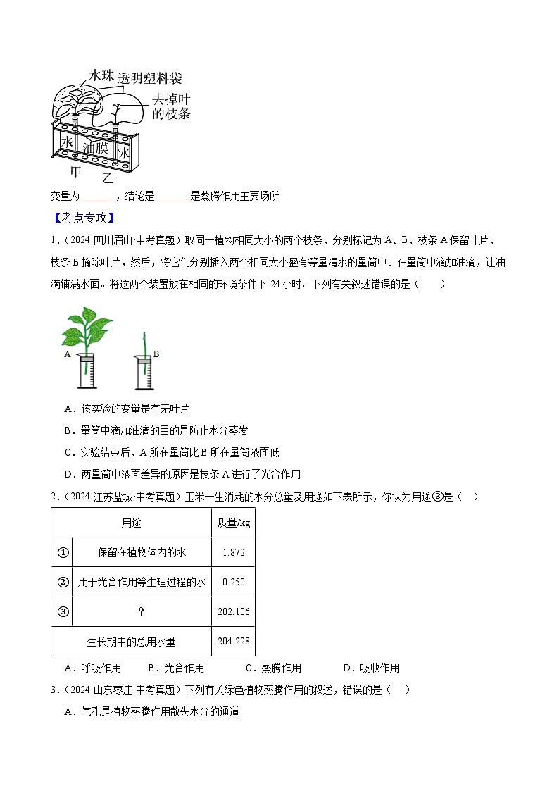 专题05 植物的三大生理作用（4大考点）-2025年中考生物二轮热点题型归纳与变式演练（全国通用）（原卷版）第3页