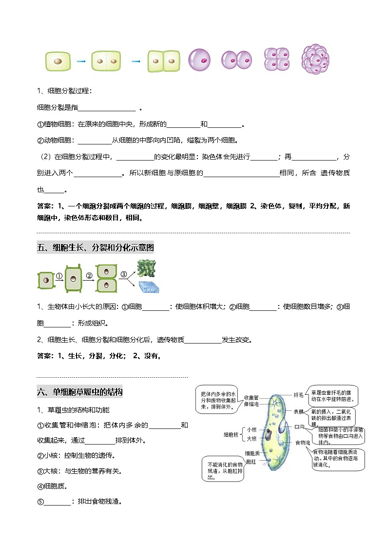 初中生物重要识图填空速记54个-2025年中考生物一轮复习知识清单(全国通用)第3页