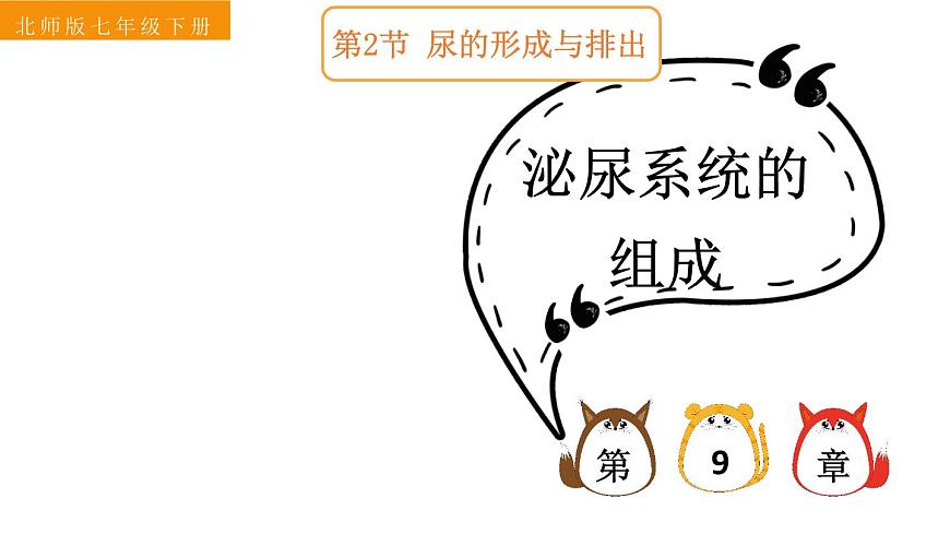 初中生物新北师大版七年级下册第4单元第9章第2节 第1课时 泌尿系统的组成教学课件2025春第1页