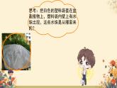 人教版初中生物七年級下冊3.2.1 《水的利用與散失》課件
