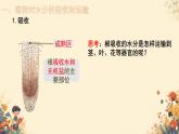 人教版初中生物七年級下冊3.2.1 《水的利用與散失》課件