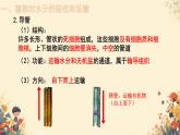 人教版初中生物七年級下冊3.2.1 《水的利用與散失》課件
