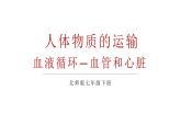 初中生物新北師大版七年級下冊第4單元第7章第2節(jié)第1課時 血管和心臟教學課件2025春