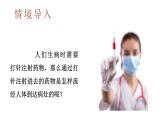初中生物新北師大版七年級下冊第4單元第7章第2節(jié)第1課時 血管和心臟教學課件2025春