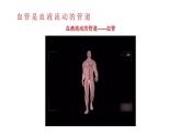 初中生物新北師大版七年級下冊第4單元第7章第2節(jié)第1課時 血管和心臟教學課件2025春