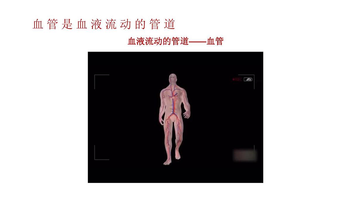 初中生物新北师大版七年级下册第4单元第7章第2节第1课时 血管和心脏教学课件2025春第5页