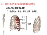 初中生物新北師大版七年級(jí)下冊(cè)第4單元第8章第2節(jié)第2課時(shí) 人體內(nèi)的氣體交換教學(xué)課件2025春