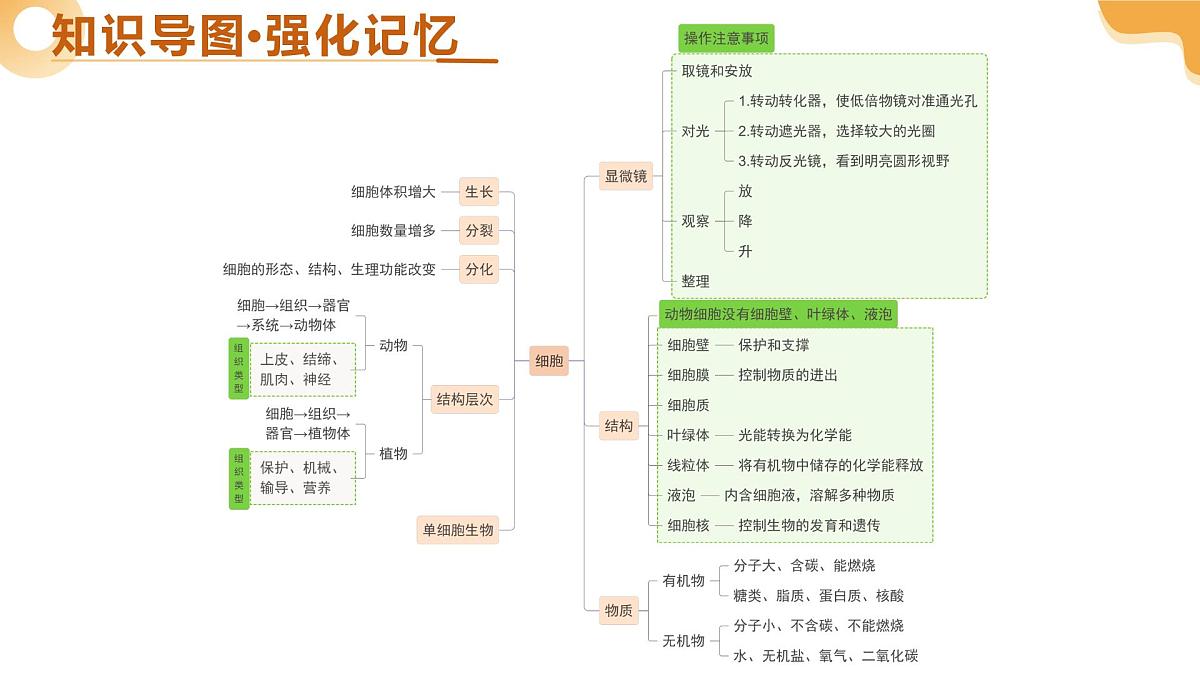 主题一 生物体的结构层次（二轮突破课件）-2025年中考生物二轮复习讲练测（广东专用）第4页