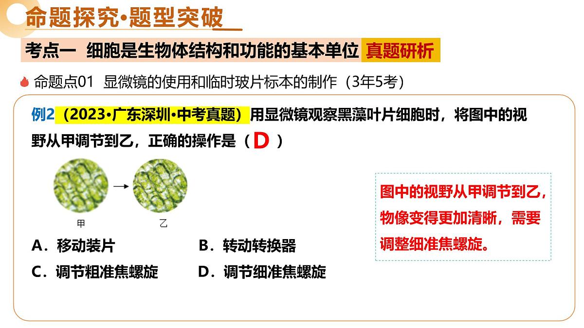 主题一 生物体的结构层次（二轮突破课件）-2025年中考生物二轮复习讲练测（广东专用）第7页