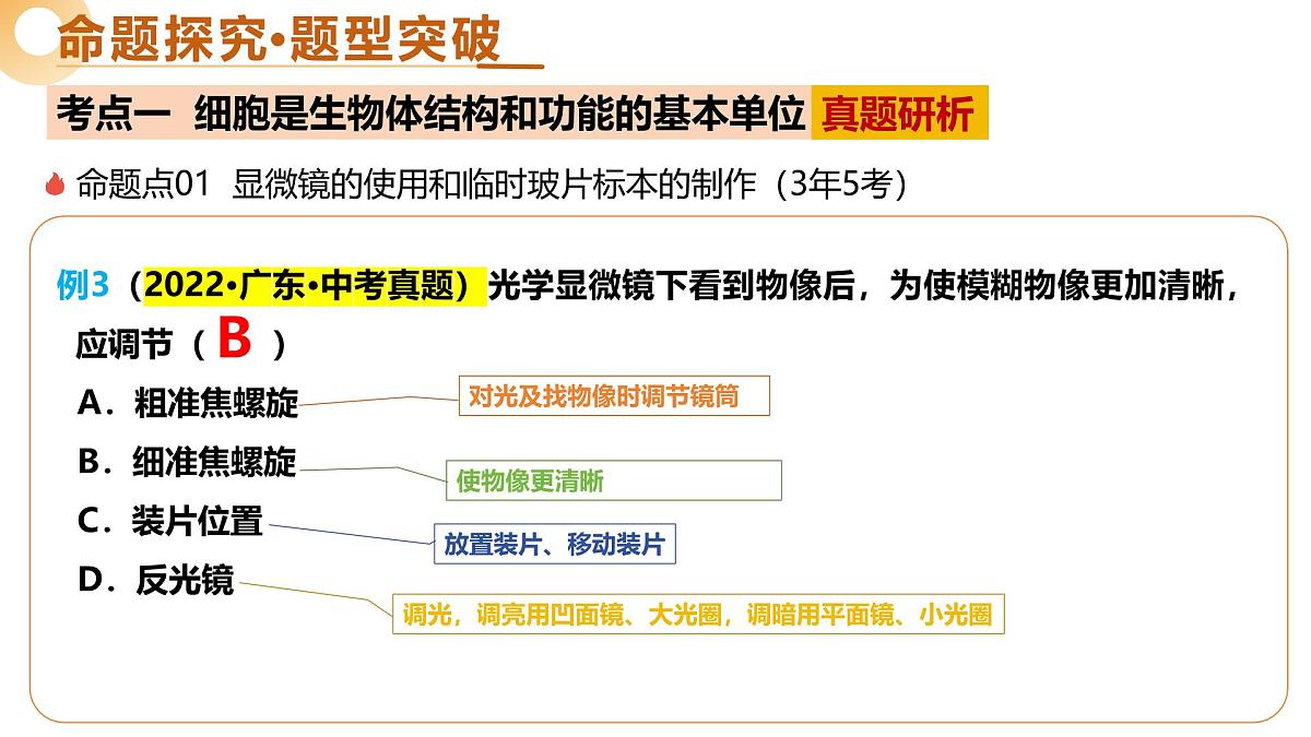 主题一 生物体的结构层次（二轮突破课件）-2025年中考生物二轮复习讲练测（广东专用）第8页