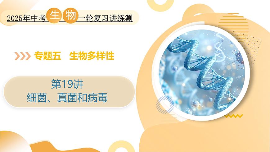 第19讲 细菌、真菌和病毒 2025年中考生物一轮复习讲练测（全国通用） 课件第1页