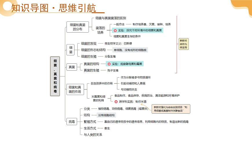 第19讲 细菌、真菌和病毒 2025年中考生物一轮复习讲练测（全国通用） 课件第4页