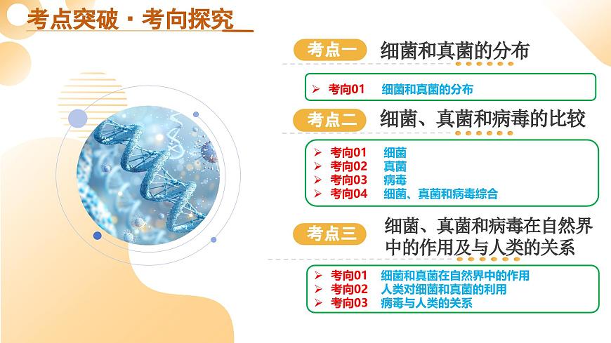 第19讲 细菌、真菌和病毒 2025年中考生物一轮复习讲练测（全国通用） 课件第5页