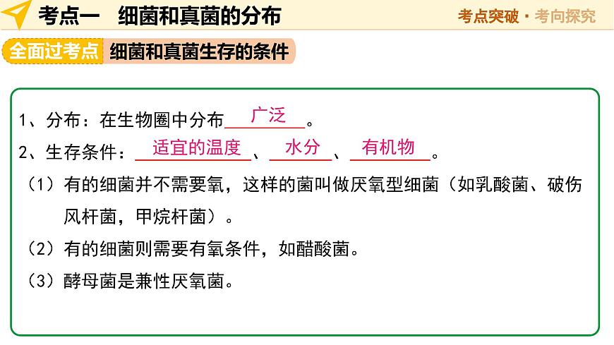 第19讲 细菌、真菌和病毒 2025年中考生物一轮复习讲练测（全国通用） 课件第8页