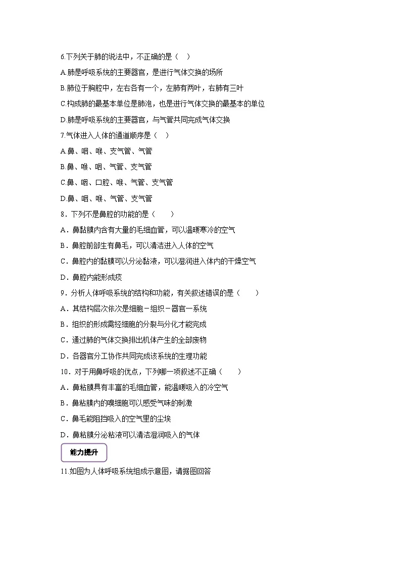 【大单元教学】人教版生物七下4.3.1呼吸道对空气的处理 分层作业（含答案）第2页