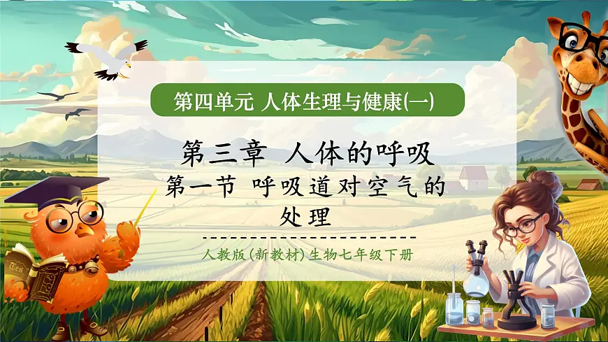 【大单元教学】人教版生物七下4.3.1呼吸道对空气的处理 课件(共27张PPT)第1页