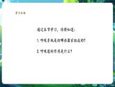 【新教材核心素養(yǎng)】人教版生物七年級(jí)下冊(cè)4.3.1呼吸道對(duì)空氣的處理（課件+同步教案+導(dǎo)學(xué)案+分層作業(yè)）