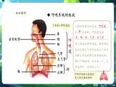【新教材核心素養(yǎng)】人教版生物七年級(jí)下冊(cè)4.3.1呼吸道對(duì)空氣的處理（課件+同步教案+導(dǎo)學(xué)案+分層作業(yè)）
