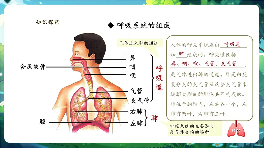 【大单元教学】人教版生物七下4.3.1呼吸道对空气的处理 课件(共27张PPT)第4页