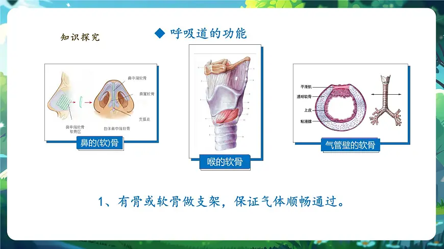 【大单元教学】人教版生物七下4.3.1呼吸道对空气的处理 课件(共27张PPT)第6页