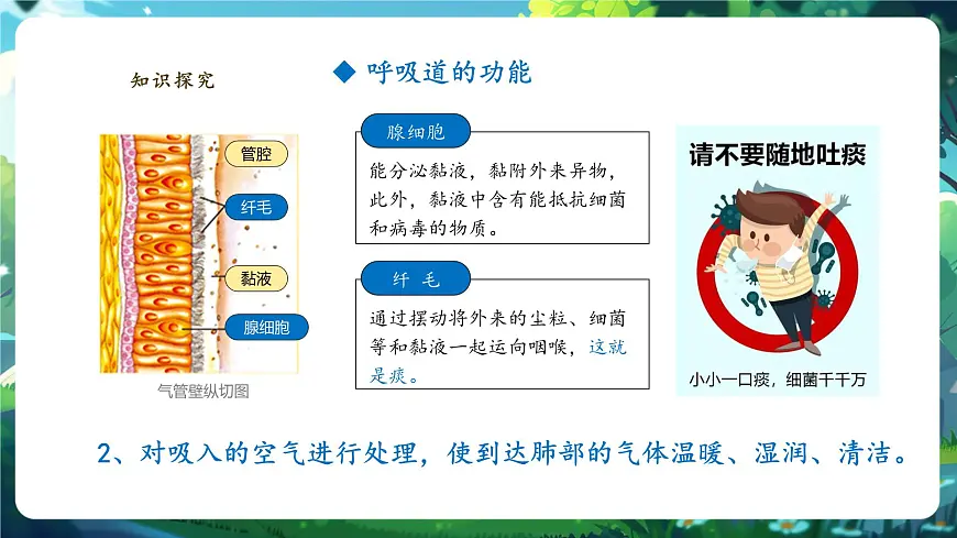 【大单元教学】人教版生物七下4.3.1呼吸道对空气的处理 课件(共27张PPT)第8页
