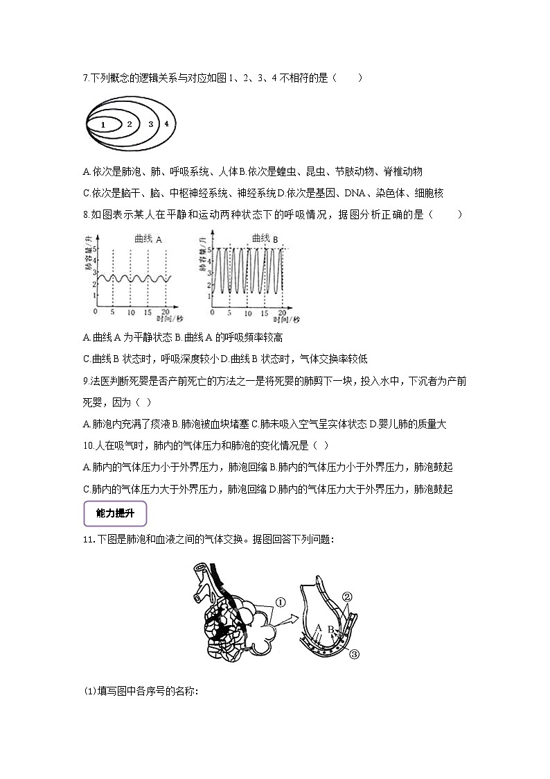 【大单元教学】人教版生物七下4.3.2发生在肺内的气体交换 分层作业（含答案）第2页