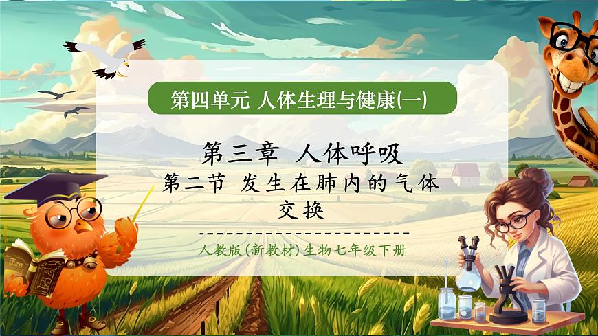 【大单元教学】人教版生物七下4.3.2发生在肺内的气体交换 课件(共28张PPT)+视频素材第1页