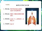 【新教材核心素養(yǎng)】人教版生物七年級(jí)下冊(cè)4.3.2發(fā)生在肺內(nèi)的氣體交換（課件+同步教案+導(dǎo)學(xué)案+分層作業(yè)）
