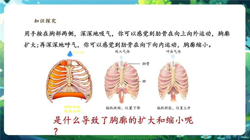 【大单元教学】人教版生物七下4.3.2发生在肺内的气体交换 课件(共28张PPT)+视频素材第8页
