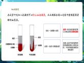 【新教材核心素養(yǎng)】人教版生物七年級下冊4.4.1流動的組織——血液（課件+同步教案+導(dǎo)學(xué)案+分層作業(yè)）