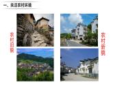 24.2 關(guān)注農(nóng)村環(huán)境 2025學(xué)年八年級(jí)生物下冊(cè)同步教學(xué)課件（北師大版）