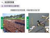 24.2 關(guān)注農(nóng)村環(huán)境 2025學(xué)年八年級(jí)生物下冊(cè)同步教學(xué)課件（北師大版）