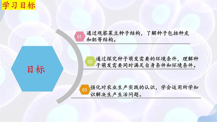 9.1 种子的萌发（第1课时）2025学年七年级生物下册（苏教版2024）课件第2页