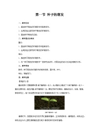 初中生物人教版(2024)七年级下册(2024)种子的萌发教案