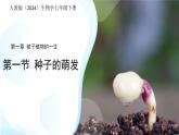 第一节 种子的萌发 课件 人教版（2024）生物学七年级下册