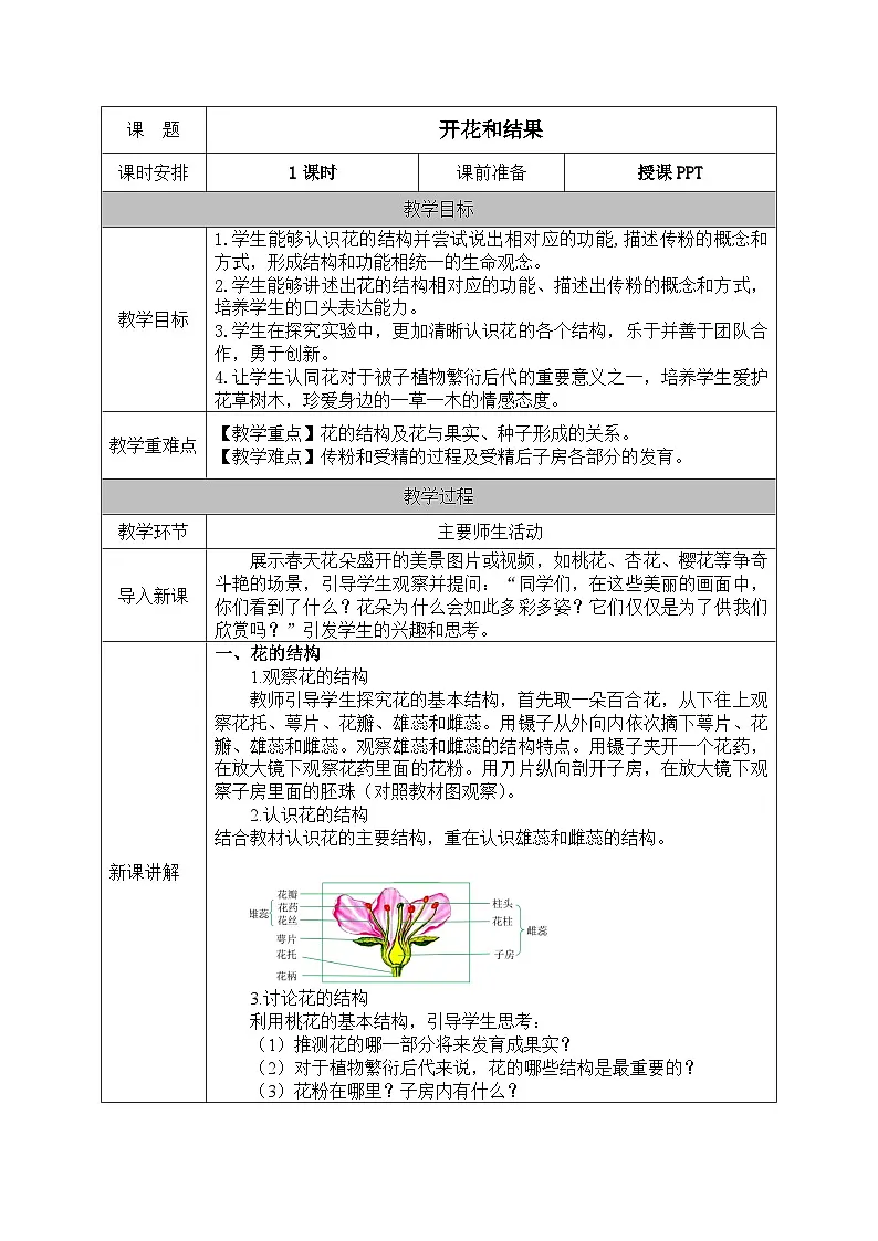 人教版七年级生物下册教案 3.1 第三节 开花和结果第1页
