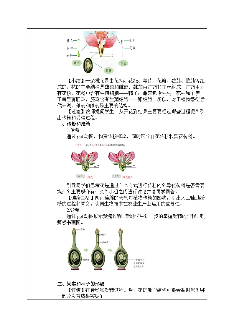 人教版七年级生物下册教案 3.1 第三节 开花和结果第2页